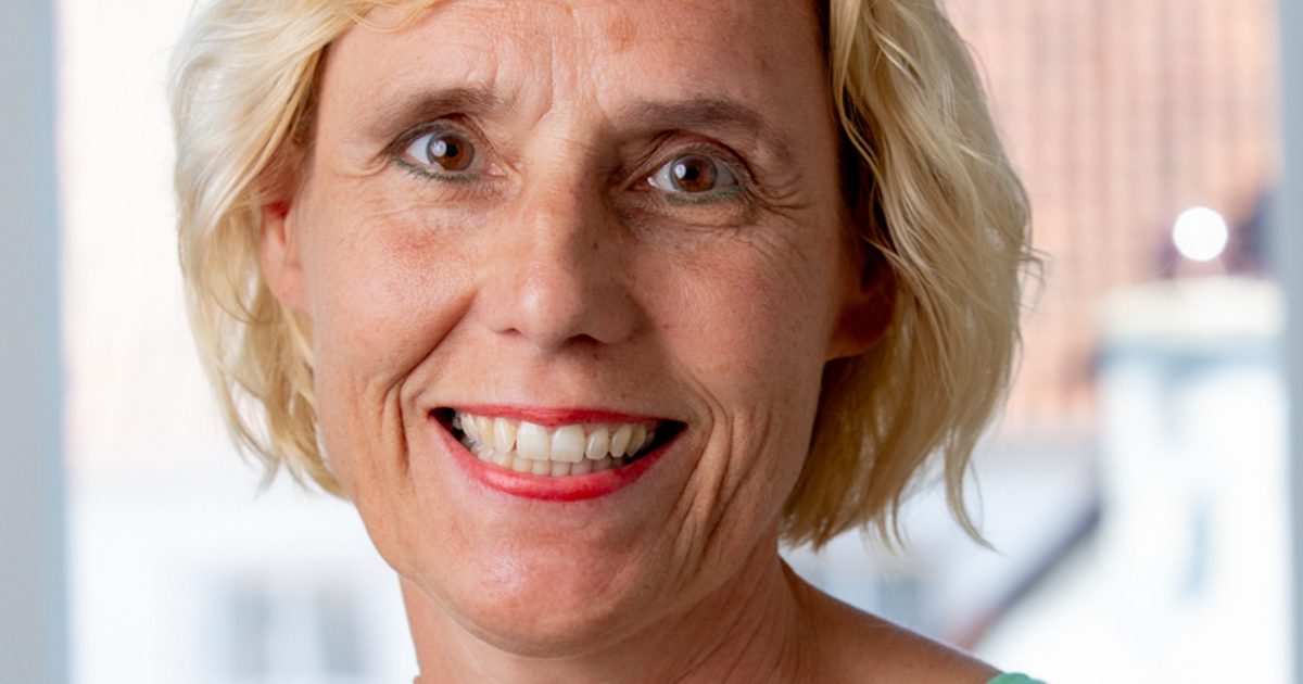Anne Riedstra Feikje Riedstra | Actualisatie kerndoelen moderne vreemde talen | SLO