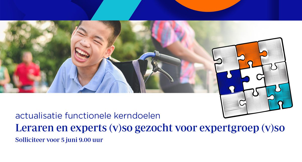 Afbeelding werving expertgroep (v)so